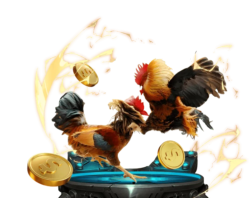 Khuyến mãi đá gà hấp dẫn tại QH99